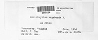 Image Associated With the Occurence